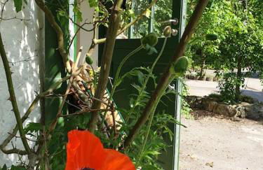 Das grüne Haus allein für Dich! - Foto 27