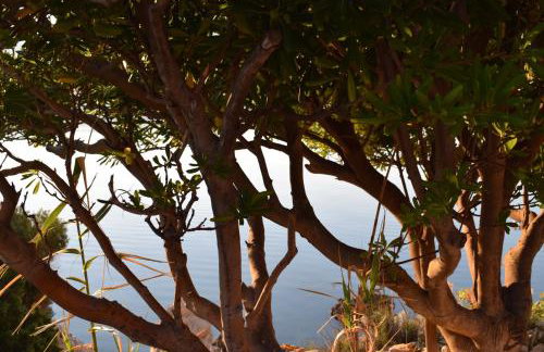 Villa Sortis and boat - Photo 61