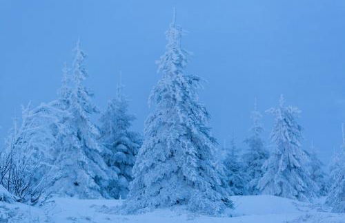 Ferienhaus im Bayerischen Wald - "Lindensalettl" mit Garten und Terrasse - Foto 52