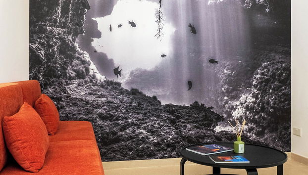 Entrada (vista interior)