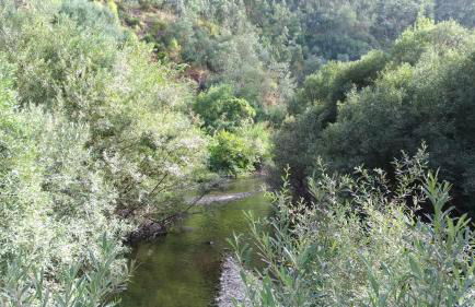 Casa do Rio - Foto 44