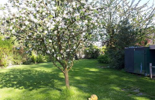 Ferienwohnung in ruhiger Dorflage Nähe Bad Bevensen - Foto 15