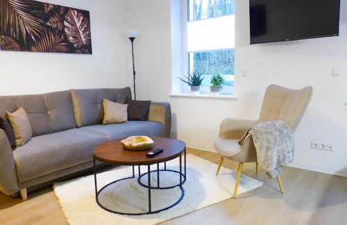 Modernes Apartment mit Queensize-Bett, NETFLIX, Küche, Erdgeschoss, Nähe AMEOS Klinik - Foto 8