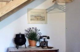 Linhal das Meias - São José das Matas - Foto 13