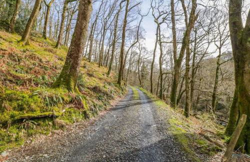 Y Cwtch - Panoramic mountain views within Snowdonia's National Park - 4x4 only - Foto 19