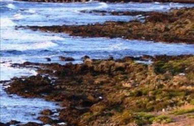 Villa Myrto - Foto 48