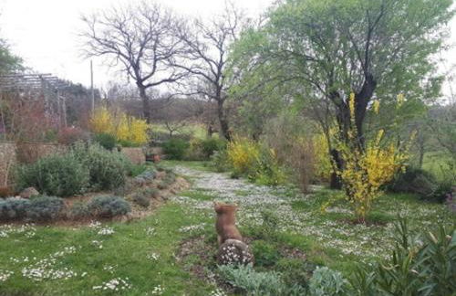 Olivo at Pietraie a cottage with many flowers in the Valley - Foto 25