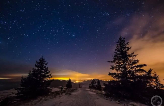 Jaworki Green Dream - Foto 54