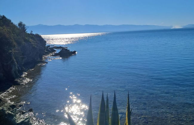 Venia House Marathos - Foto 37