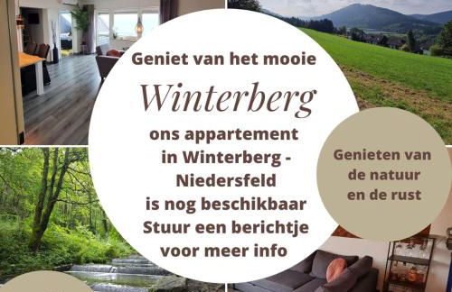 Vakantie Appartement Winterberg-Niedersfeld - Foto 13