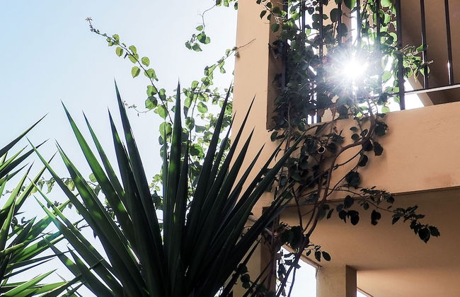 Creste e Mare - Foto 26