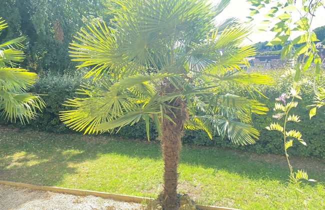 Résidence les trois jardins - Foto 34