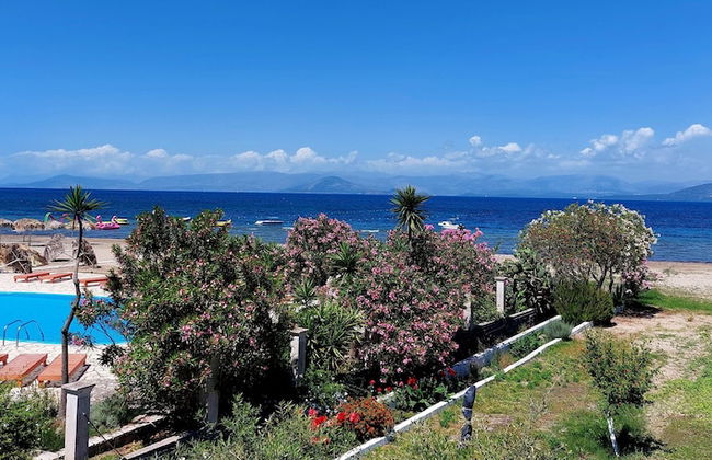 Ever Green Beach Apartments - Photo 17