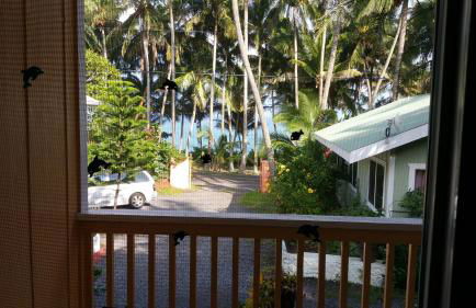 Oceanfront Cottage Near the Kalapana Lava Flows - Foto 9