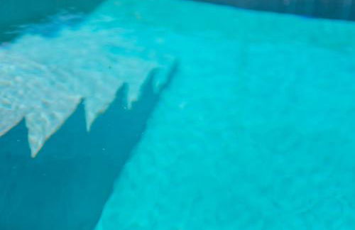 Maison Comporta - Foto 25