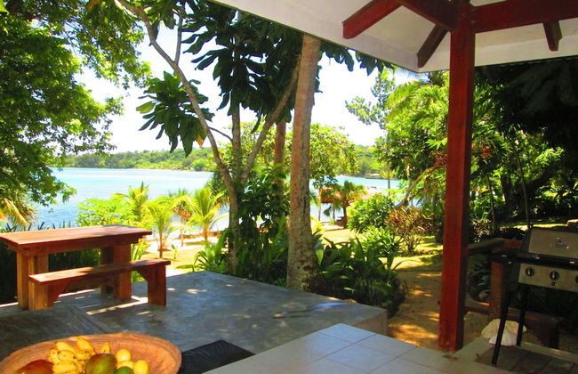 Troppo Mystique - Photo 20