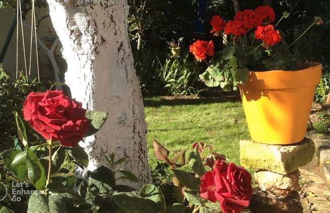 Zagara di Sicilia - Foto 42