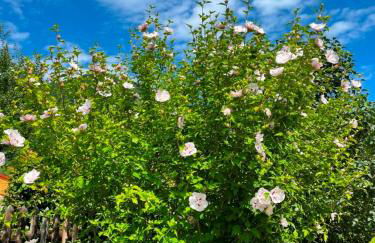 Landhaus Gastager - Foto 37