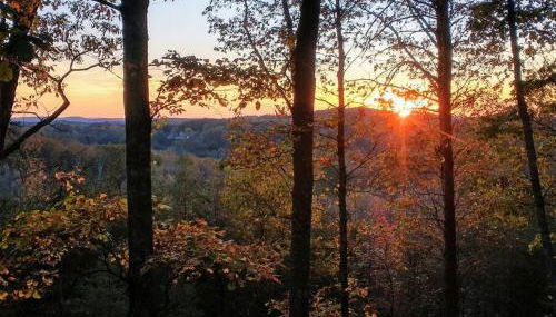 Tiny Home Big View - Photo 4