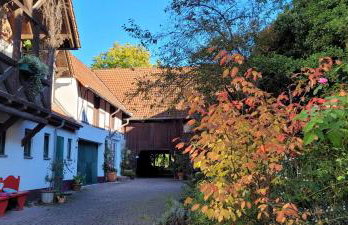 Wohnen & Kunst - Foto 31