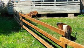 Cottage gîte aux Lauriers Lacroix sur meuse - Foto 2