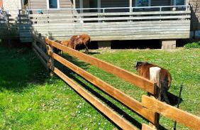 Cottage gîte aux Lauriers Lacroix sur meuse - Foto 2