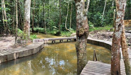 Sitio para COP30 - Foto 2