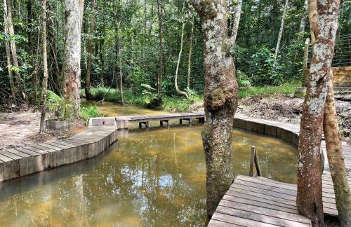 Sitio para COP30 - Foto 2