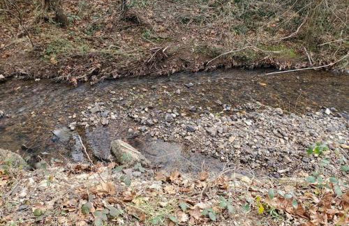 JB's-Getaway in the mountains with trails and more - Foto 13