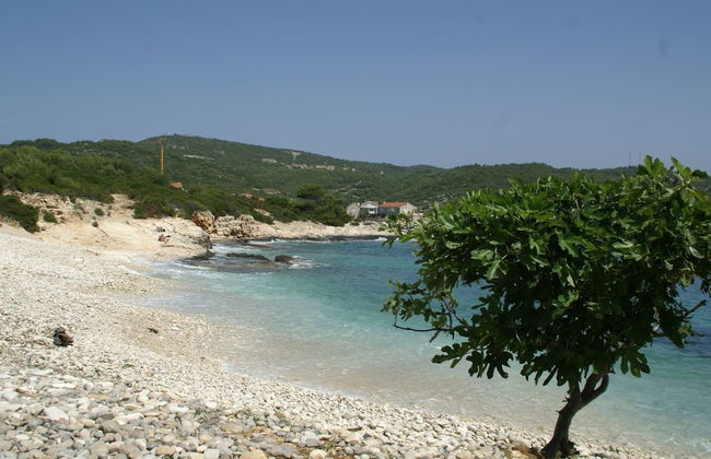 Traditional House With two Apartments - Foto 49