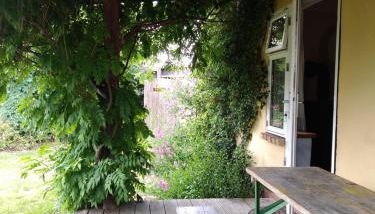 Ferienwohnung in Welzin - Foto 3, Garden