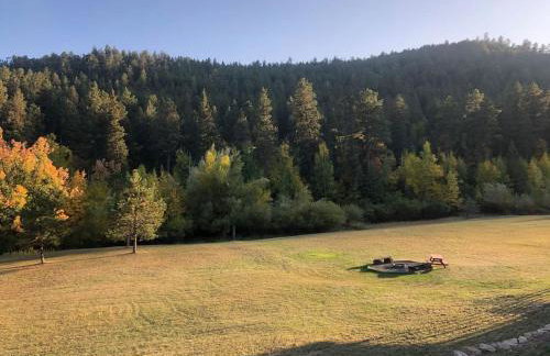 The Little Pine - Foto 16