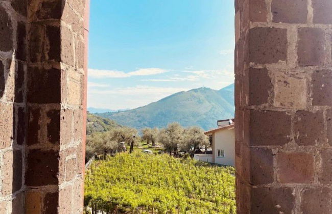 Tenuta Miranda - Foto 58