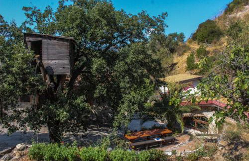 Fattoria Armonia - Foto 40