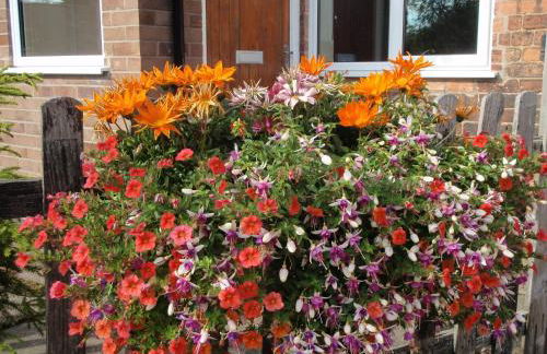 Flo's Cottage self-catering - Photo 15