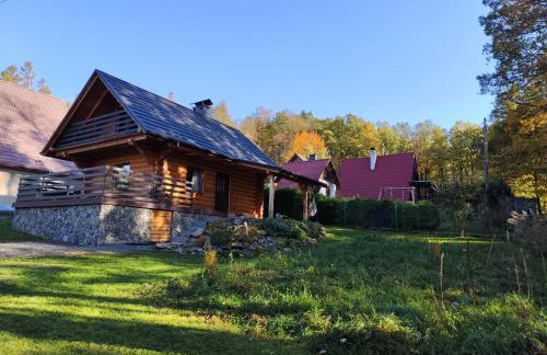 Kwietna łąka na szlaku - Foto 15