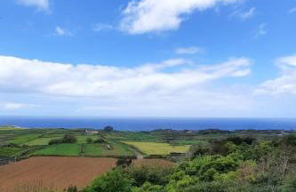 Quinta do Norte - Biscoitos - Photo 31