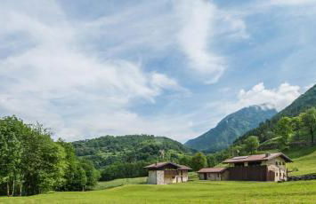 Quader nidi nel verde - Foto 9