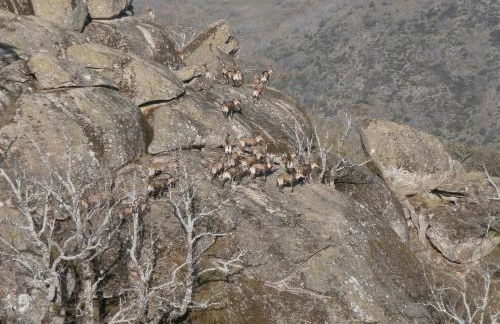 Casa Sebastiana - Foto 58