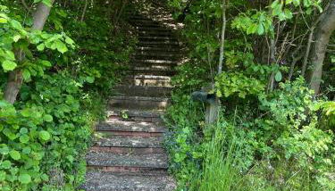 Urlaub mit der ganzen Familie im Ferienhaus in der Natur - Foto 2