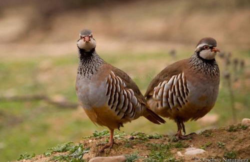 La Casa del Pan de Archivel - Foto 52