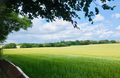 The Little Beech Tree - Foto 38