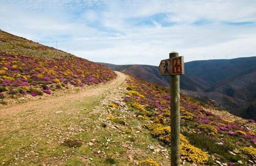 Arouca Passadiços Alojamentos & Jacuzzi - SPA - Foto 49