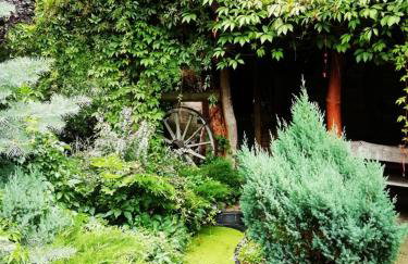 BAJA Gospodarstwo Agroturystyczne - Foto 11