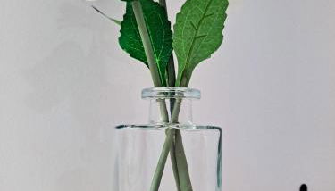 South Loop Rooftop With In and Out Parking 2 - Foto 4