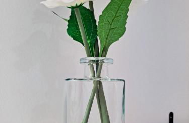 South Loop Rooftop With In and Out Parking 2 - Foto 4