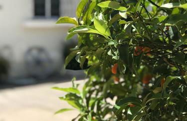 Aggelikis House - Foto 21