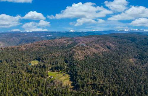 Saltwater Hot Tub, Forest Retreat, Minutes to Town - Foto 19