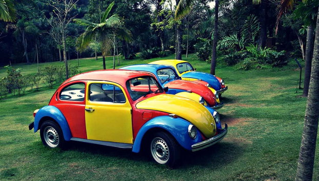 Excursión privada desde Belo Horizonte - Foto 3