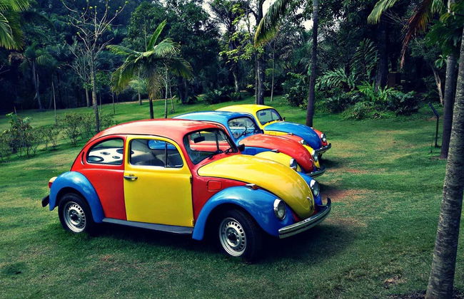 Excursión al Instituto Inhotim - Foto 6